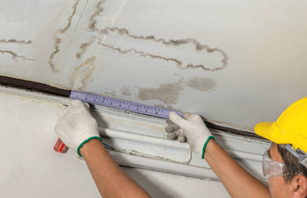Reliable Basement Water Removal contractor in Rockford, WA by Water Damage Irwin